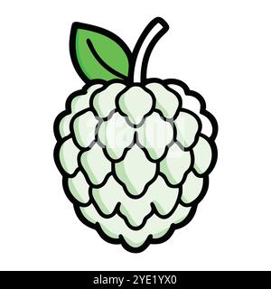 Custard apple vector illustration with green leaf Stock Vector