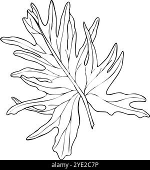 Single tropical split leaf Philodendron silhouette vector isolated illustration painted by black inks. Jungle monstera leaf line art for nature theme Stock Vector