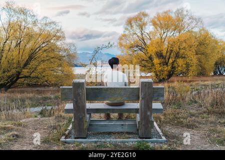 Rear view of young asian man sitting on wooden bench in autumn forest by the lake at New Zealand Stock Photo