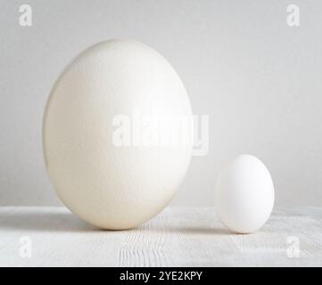 Ostrich egg and chicken egg on white table. Stock Photo