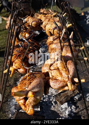 Chicken being cooked over an open wood fire by hanging the chicken using string and S-hooks Stock Photo