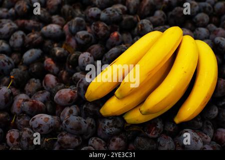 A branch of ripe bananas and blue plums on the shop window. Stock Photo
