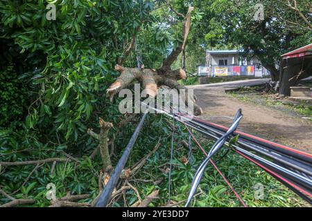 Laguna, Luzon Island, Philippines.Oct 25,2024: Power & ethernet wires torn off by a tree uprooted by powerful wind. Severe Tropical Cyclone Trami (Kristine) aftermath in Philippine archipelago, one of the world's most climate vulnerable regions as the Southeast Asia's country is struck by multiple natural disasters a year. Millions of Filipinos suffered torrential rains, floods, strong winds, damages, landslides, electricity/internet outages, evacuation. The deadliest storm killed 145 peoples/37 missing. Many areas under state of calamity & remain isolated. Credit: Kevin Izorce/Alamy Live News Stock Photo