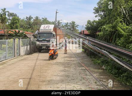 Laguna, Calabarzon, Philippines. Oct 28,2024: A poultry truck struggles to pass under fallen wires due to a tree uprooted by powerful wind. Severe Tropical Cyclone Trami (Kristine) aftermath in Philippine archipelago, one of the world's most climate vulnerable regions as the Southeast Asia's country is struck by multiple natural disasters a year. Millions of Filipinos suffered torrential rains, floods, strong winds, damages, landslides, electricity/internet outages, evacuation. The deadliest storm killed 145 peoples/37 missing. Many areas remain isolated. Credit: Kevin Izorce/Alamy Live News Stock Photo