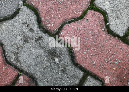 Close-up of red and grey interlocking paving stones with natural moss patterns. Stock Photo