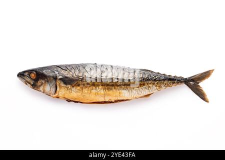 Smoked fish atlantic mackerel isolated on white background Stock Photo