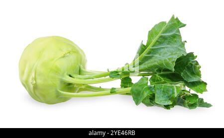 kohlabi vegetable isolated on white background. kohlabi clipping path Stock Photo