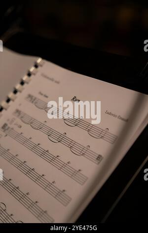 Music sheets. Melodies written with different musical symbols as background, closeup Stock Photo