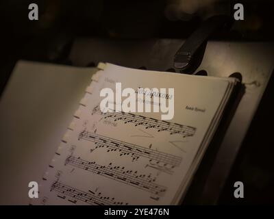 Music sheets. Melodies written with different musical symbols as background, closeup Stock Photo