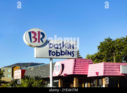 Baskin Robbins BR LEDサイン 看板 baskin-robbins-ice-cream-shop-