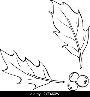 Holly leaves and berries. Elegant graphic ink vector Christmas clipart. Isolated elements of winter holidays, Xmas, New Year, greeting, coloring, card Stock Vector