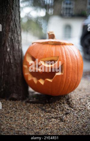 scary orange halloween pumpkin with angry looking face Stock Photo - Alamy