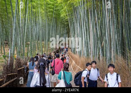Japanes tourists walking nthrough the bamboo forest in Arashiyama, Kyoto, Japan on 28 September 2024 Stock Photo