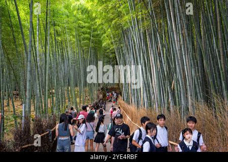Japanes tourists walking nthrough the bamboo forest in Arashiyama, Kyoto, Japan on 28 September 2024 Stock Photo