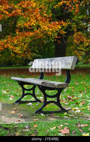 Bench in the park in autumn Stock Photo