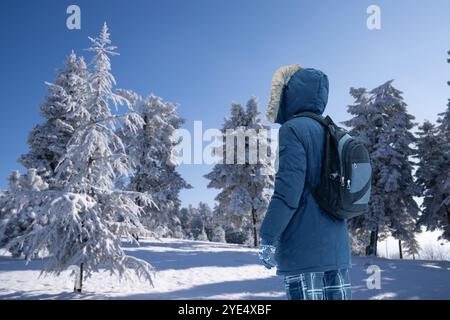 Back view of traveler in a blue jacket with a fur hood and a backpack on the background of a winter landscape during snowfall.. Stock Photo