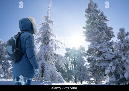 Back view of traveler in a blue jacket with a fur hood and a backpack on the background of a winter landscape during snowfall.. Stock Photo