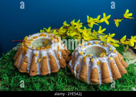 2 baked cakes, beautifully decorated for christmas Stock Photo