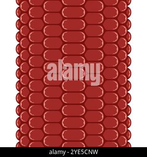 Vertical seamless pattern with corn cob texture, maize. Color vector background. Stock Vector