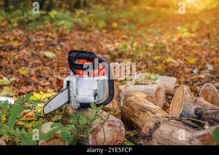 Chainsaw on stacked firewood logs in forest Stock Photo