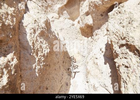 Established in 1994, the Mojave National Preserve is most known for the towering Kelso Dunes, its numerous Joshua trees and the Rings Loop Trail. Stock Photo