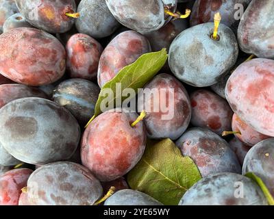 Fruits and vegetables from the market, Stock Photo