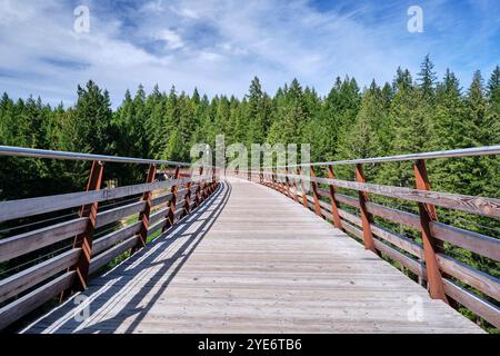 A view along the path of the Kinsol Trestle rail bridge as it curves into the trees on the opposite side of the Koksilah river. Stock Photo