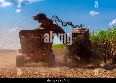 Harvesting machine working in sugar cane field in Brazil Stock Photo