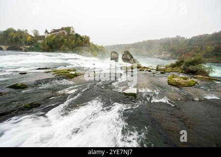 The beautiful Swiss Rhine Falls seen during the fall time. Stock Photo