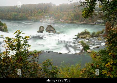 The beautiful Swiss Rhine Falls seen during the fall time. Schaffhausen *** The beautiful Swiss Rhine Falls seen during the fall time Schaffhausen Stock Photo