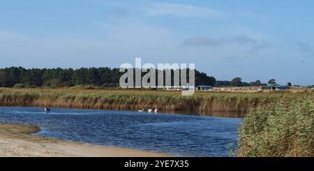 Lagoon in Benacre National Nature Reserve Stock Photo