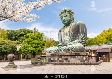 The Great Buddha at Kotokuin at Kamakura in Kanagawa Prefecture, Japan Stock Photo