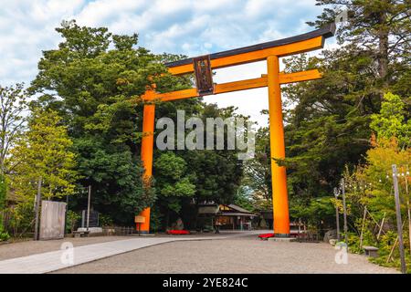 Torii gate of Hikawa Shrine, a Shinto shrine in Kawagoe, Saitama Prefecture, Japan. Stock Photo