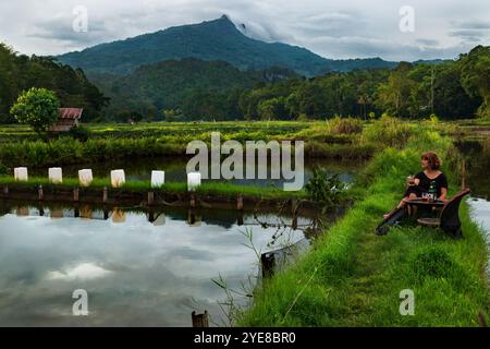 Once in a lifetime beer stop near rice fields at sunset in Indonesia Stock Photo