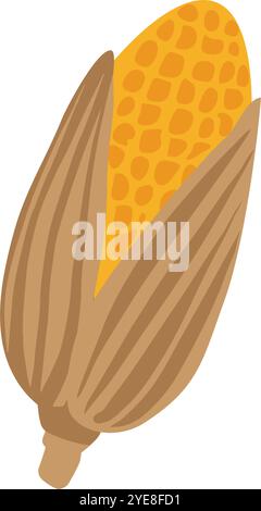 Hand drawn corn cob. Yellow maize plant seeds. Hand drawn vector illustration isolated on white backgrouns. Cereal plant. Vegetable crop, farming Stock Vector