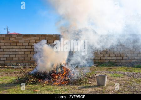 Cleaning of the country yard area, burning of dry grass Stock Photo