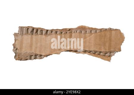 Torn cardboard paper for using as a text box on white background with clipping path Stock Photo