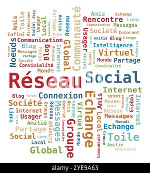 Word Cloud Tag Social Network, Internet, Community Digital Illustration in French Language Stock Vector