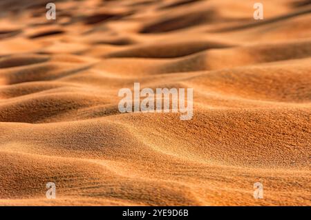 Sand of the Sahara desert in the light of the sunset Stock Photo