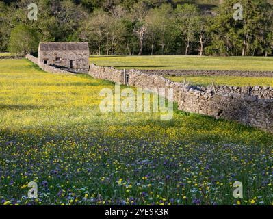 Hay & Wildflower Meadows near Muker, Swaledale, Yorkshire Dales National Park, Yorkshire, England, UK Stock Photo