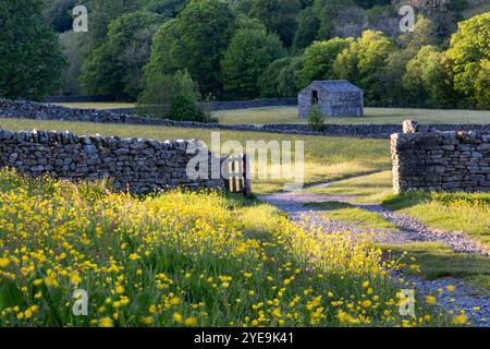 Hay & Wildflower Meadows near Muker, Swaledale, Yorkshire Dales National Park, Yorkshire, England, UK Stock Photo