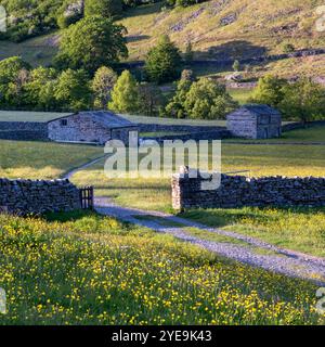 Hay & Wildflower Meadows near Muker, Swaledale, Yorkshire Dales National Park, Yorkshire, England, UK Stock Photo