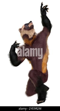 3D rendering of a wolverine man isolated on white background Stock ...
