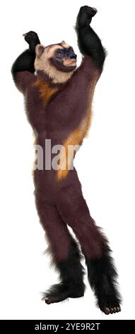 3D rendering of a wolverine man isolated on white background Stock ...