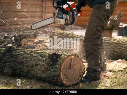 Process of cutting down a tree by an arborist with a chainsaw. Stock Photo