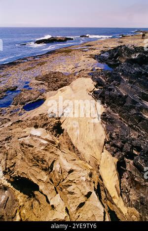 Tide pools at Juan de Fuca Provincial Park (Botanical Beach Provincial Park) on Vancouver Island; British Columbia, Canada Stock Photo