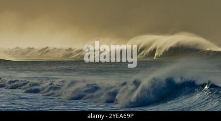 Powerful waves breaking with spray and warm sunset light, intense wave activity on the Eastern shore of Maui, Hawaii, USA Stock Photo