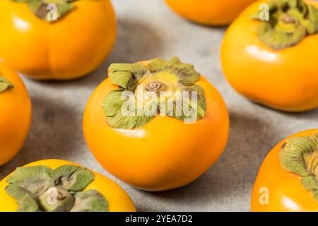 Raw Organic Orange Fuyu Persimmons in a Bunch To Eat Stock Photo