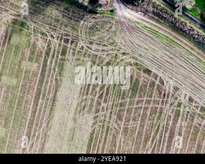 aerial view of arable lowland agricultural field with intersting ...