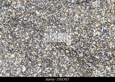 Shells and pebbles on the shore of sea Stock Photo